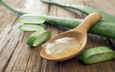 Beauté : 10 façons d’utiliser l’Aloe vera