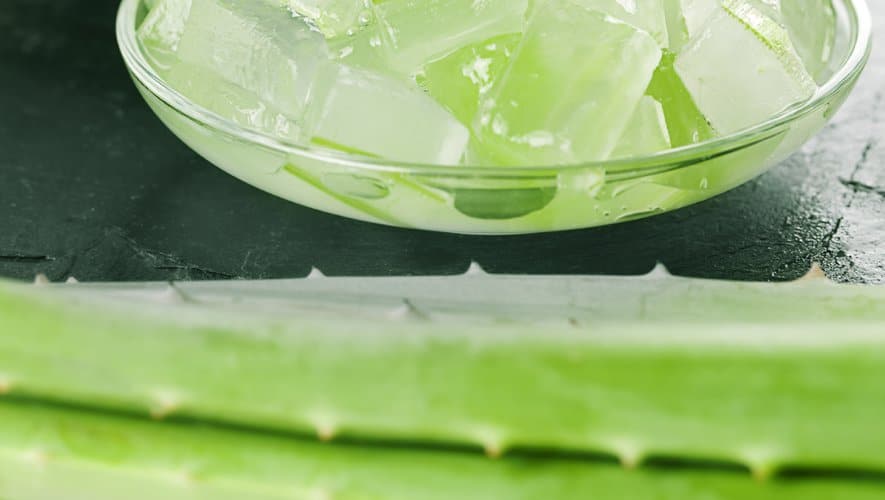 Pourquoi faire une cure d’Aloe Vera de 3 mois ?